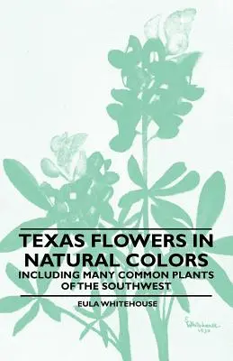 Texas virágok természetes színekben - beleértve a délnyugat számos gyakori növényét is - Texas Flowers in Natural Colors - Including Many Common Plants of the Southwest