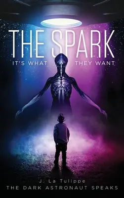 A szikra: Ez az, amit akarnak - The Spark: It's What They Want