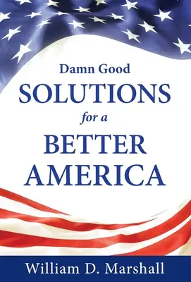 Damn Good Solutions for a Better America