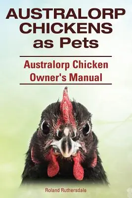 Australorp csirkék mint háziállatok. Australorp Chicken Owner's Manual. - Australorp Chickens as Pets. Australorp Chicken Owner's Manual.