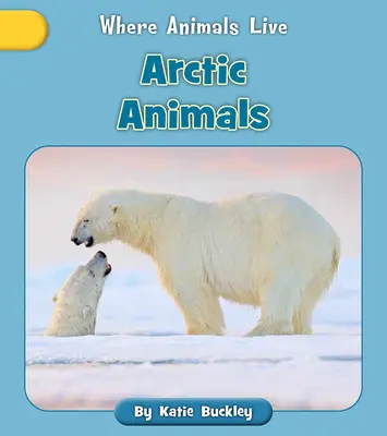 Sarkvidéki állatok - Arctic Animals