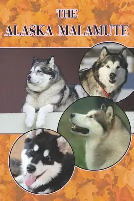 Az alaszkai malamut: A Complete and Comprehensive Beginners Guide To: Vásárlás, birtoklás, egészség, ápolás, kiképzés, engedelmesség, megértése - The Alaska Malamute: A Complete and Comprehensive Beginners Guide To: Buying, Owning, Health, Grooming, Training, Obedience, Understanding