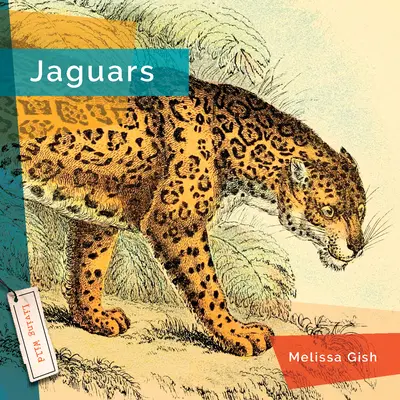 Jaguárok - Jaguars