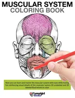 Izomrendszer Színezőkönyv - Muscular System Coloring Book