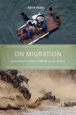 A vándorlásról: Veszélyes utazások és az élővilág - On Migration: Dangerous Journeys and the Living World