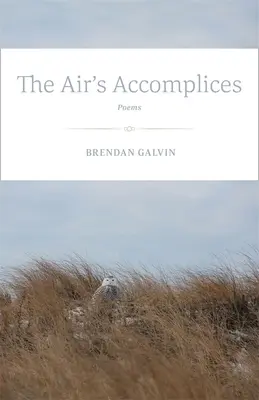 A levegő cinkosai: Versek - The Air's Accomplices: Poems