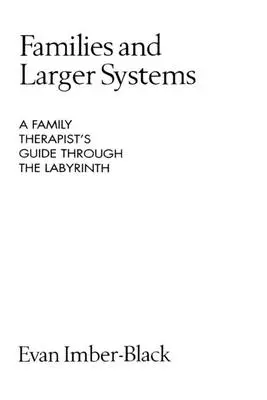 Családok és nagyobb rendszerek: Egy családterapeuta útikalauza a labirintusban - Families and Larger Systems: A Family Therapist's Guide Through the Labyrinth