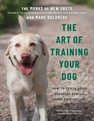 A kutyakiképzés művészete: Hogyan tanítsuk meg finoman a jó viselkedést egy nyakörv segítségével? - The Art of Training Your Dog: How to Gently Teach Good Behavior Using an E-Collar