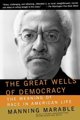 A demokrácia nagy kútjai: A faji hovatartozás jelentése az amerikai életben - The Great Wells of Democracy: The Meaning of Race in American Life