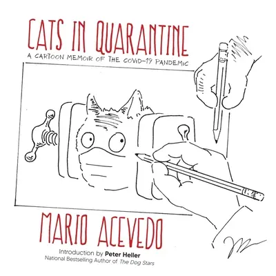 Macskák karanténban - Cats in Quarantine