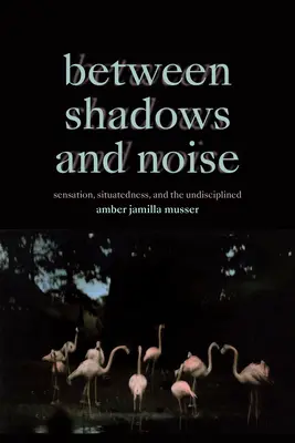 Árnyék és zaj között: Sensation, Situatedness, and the Undisciplined - Between Shadows and Noise: Sensation, Situatedness, and the Undisciplined