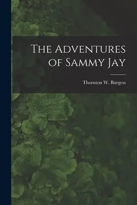 Sammy Jay kalandjai (Burgess Thornton W. (Thornton Waldo)) - The Adventures of Sammy Jay (Burgess Thornton W. (Thornton Waldo))