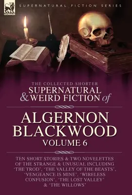 Algernon Blackwood összegyűjtött rövidebb természetfeletti és különös regényei 6. kötet - The Collected Shorter Supernatural & Weird Fiction of Algernon Blackwood Volume 6