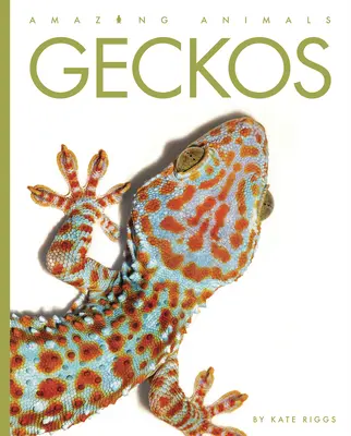 Geckók - Geckos