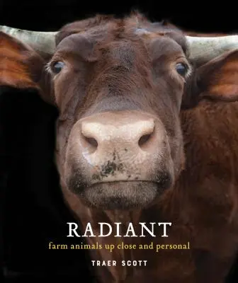 Sugárzó: (Farm Animal Photography Book) - Radiant: Farm Animals Up Close and Personal (Farm Animal Photography Book)