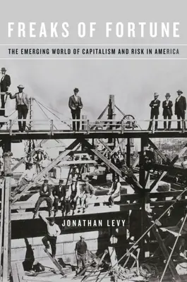 A szerencse szörnyszülöttjei: A kapitalizmus és a kockázat kialakulóban lévő világa Amerikában - Freaks of Fortune: The Emerging World of Capitalism and Risk in America