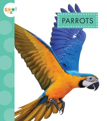 Papagájok - Parrots