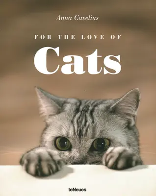 A macskák szeretetére - For the Love of Cats