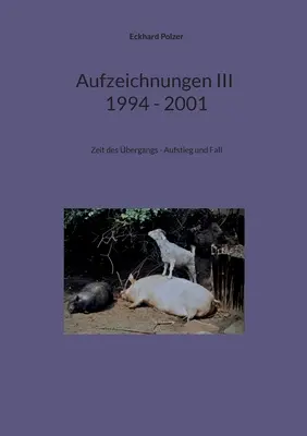 Aufzeichnungen III; 1994 - 2001: Zeit des bergangs - Aufstieg und Fall (1994 - 2001): Zeit des bergangs - Aufstieg und Fall - Aufzeichnungen III; 1994 - 2001: Zeit des bergangs - Aufstieg und Fall