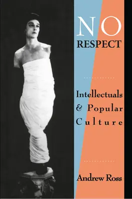 No Respect: Intellektuálisok és a populáris kultúra - No Respect: Intellectuals and Popular Culture