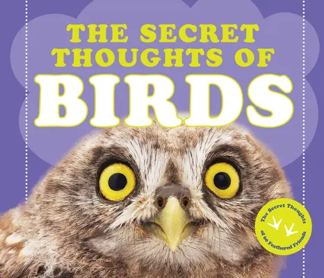 A madarak titkos gondolatai - The Secret Thoughts of Birds