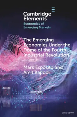 A feltörekvő gazdaságok a negyedik ipari forradalom kupolája alatt - The Emerging Economies Under the Dome of the Fourth Industrial Revolution