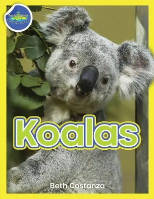 Koala Activity Workbook 4-8 éveseknek - Koala Activity Workbook ages 4-8