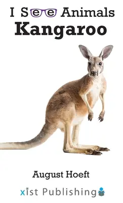 Kenguru - Kangaroo