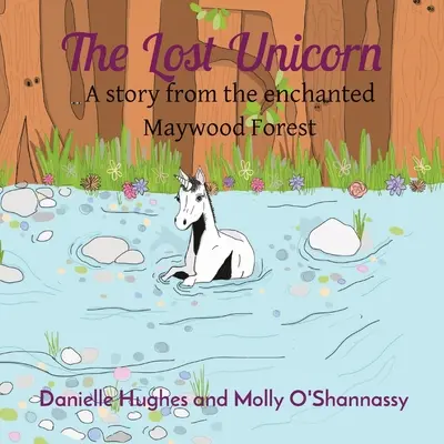 Az elveszett egyszarvú: Egy történet az elvarázsolt Maywoodi erdőből - The Lost Unicorn: A story from the enchanted Maywood Forest