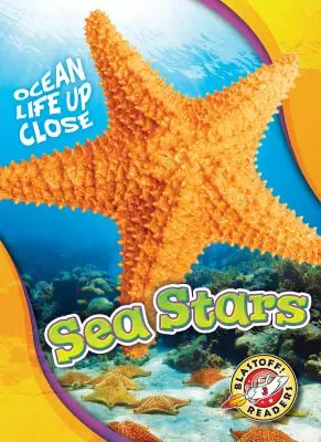 Tengeri csillagok - Sea Stars