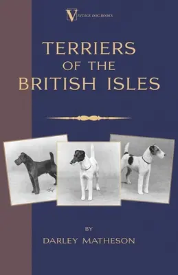 Terrierek - Egy illusztrált útmutató (a Vintage Dog Books Breed Classic) - Terriers - An Illustrated Guide (a Vintage Dog Books Breed Classic)