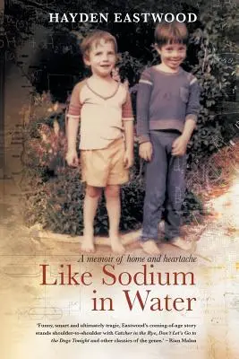 Mint a nátrium a vízben: Az otthon és a szívfájdalom emlékirata - Like Sodium in Water: A memoir of home and heartache