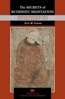 A buddhista meditáció titkai: Látomásos meditációs szövegek a kora középkori Kínából - The Secrets of Buddhist Meditation: Visionary Meditation Texts from Early Medieval China