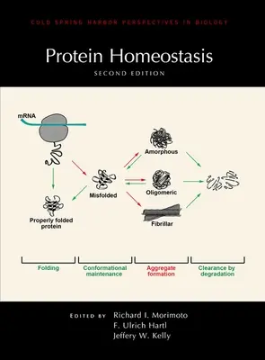 Protein homeosztázis, második kiadás - Protein Homeostasis, Second Edition