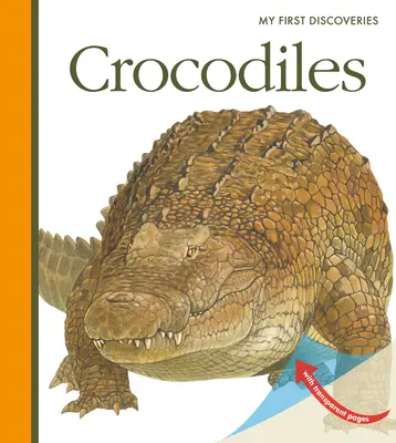 Krokodilok - Crocodiles