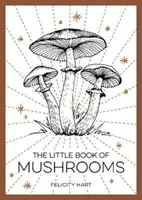 Kis gombakönyv - Bevezetés a gombák csodálatos világába - Little Book of Mushrooms - An Introduction to the Wonderful World of Mushrooms