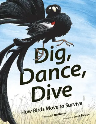 Ásni, táncolni, merülni: Hogyan mozognak a madarak a túlélés érdekében? - Dig, Dance, Dive: How Birds Move to Survive