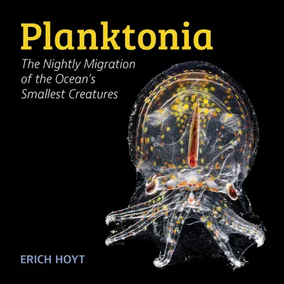 Planktonia: Az óceán legkisebb élőlényeinek éjszakai vándorlása - Planktonia: The Nightly Migration of the Ocean's Smallest Creatures