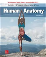 ISE Humán anatómia - ISE Human Anatomy