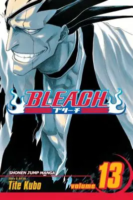 Bleach, 13. kötet: 13. kötet - Bleach, Vol. 13: Volume 13