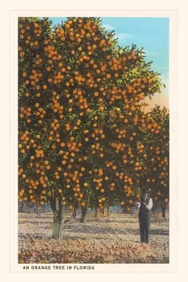 Vintage Journal narancs fák - Vintage Journal Orange Trees