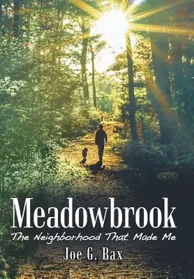 Meadowbrook: The Neighborhood That Made Me