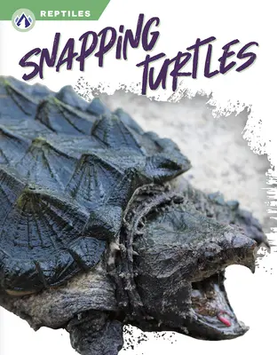 Csapkodó teknősök - Snapping Turtles