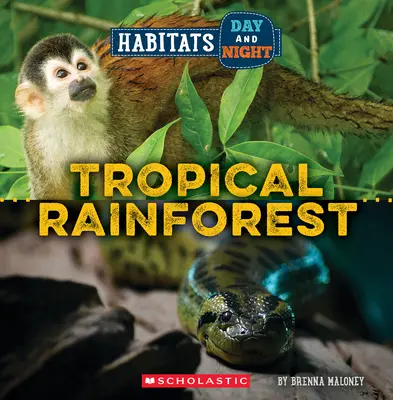 Trópusi esőerdő (Vadvilág: Élőhelyek nappal és éjszaka) - Tropical Rainforest (Wild World: Habitats Day and Night)