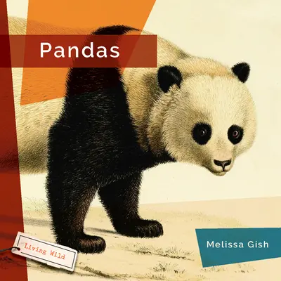 Pandák - Pandas