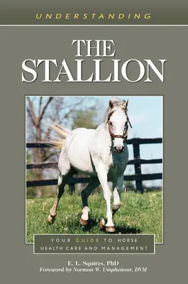 A csődör megértése: A lóegészségügy és a lómenedzsment útmutatója - Understanding the Stallion: Your Guide to Horse Health Care and Management