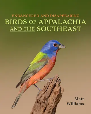 Veszélyeztetett és eltűnőben lévő madarak Appalache és a délkeleti részen - Endangered and Disappearing Birds of Appalachia and the Southeast