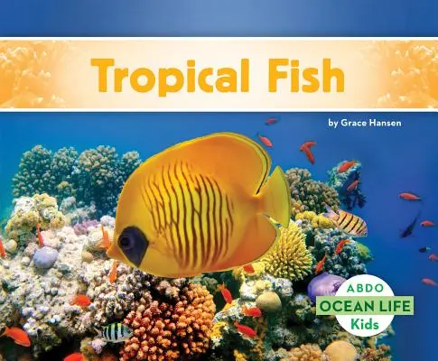 Trópusi halak - Tropical Fish