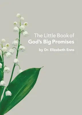 Isten nagy ígéreteinek kis könyve - The Little Book of God's Big Promises