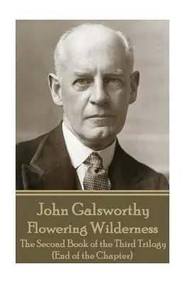 John Galsworthy - Virágzó vadon: A harmadik trilógia második könyve (A fejezet vége) - John Galsworthy - Flowering Wilderness: The Second Book of the Third Trilogy (End of the Chapter)